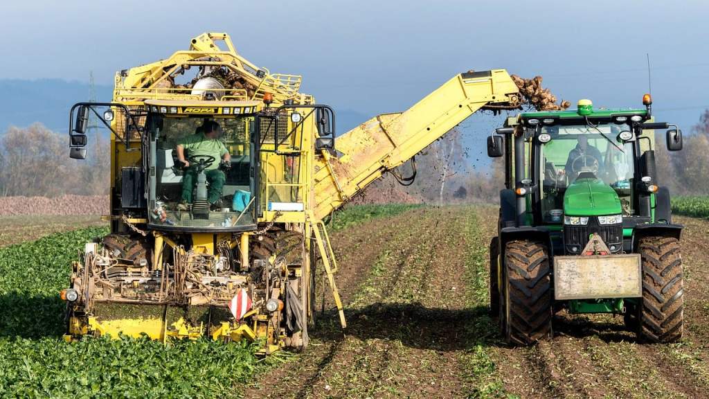 Inovasi Teknologi Pertanian: Meningkatkan Produktivitas dan Keberlanjutan